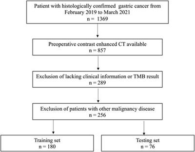 A machine learning-based radiomics model for prediction of tumor mutation burden in gastric cancer